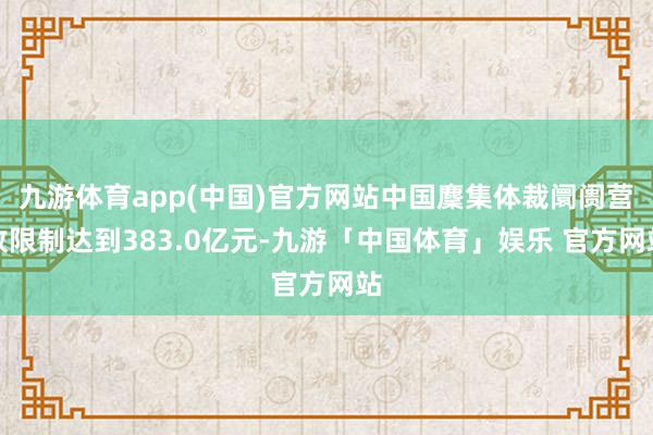九游体育app(中国)官方网站中国麇集体裁阛阓营收限制达到383.0亿元-九游「中国体育」娱乐 官方网站