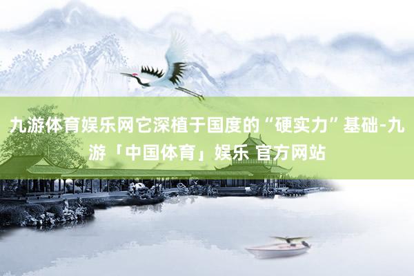 九游体育娱乐网它深植于国度的“硬实力”基础-九游「中国体育」娱乐 官方网站