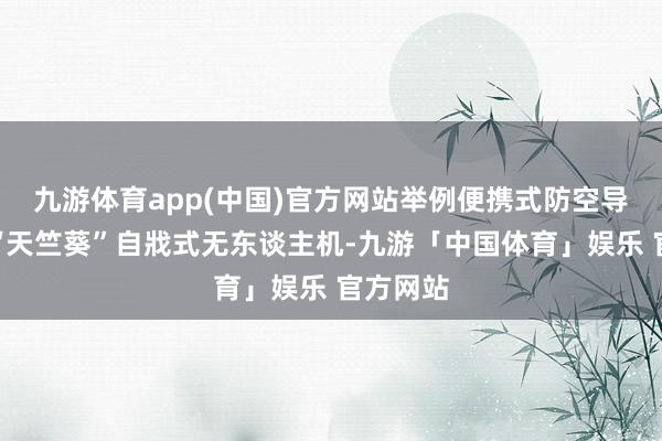 九游体育app(中国)官方网站举例便携式防空导弹或者“天竺葵”自戕式无东谈主机-九游「中国体育」娱乐 官方网站